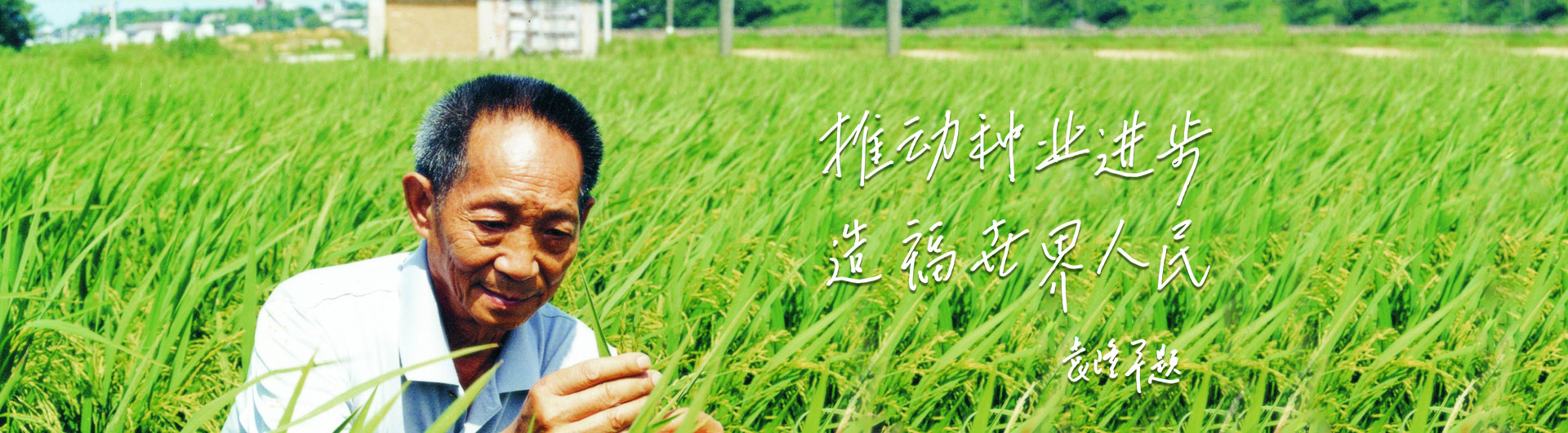image008.png